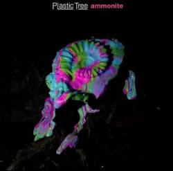Plastic Tree : Ammonite